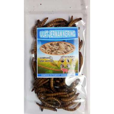 Ulat Jerman Kering 25 Gram