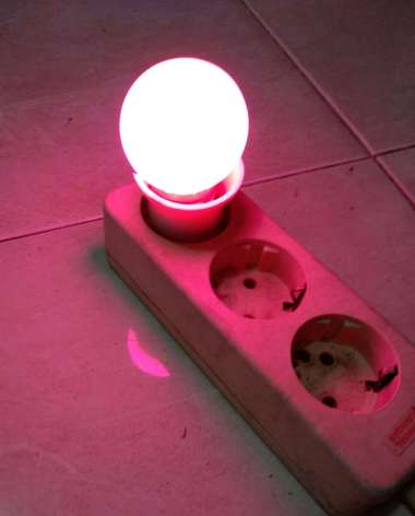 Lampu Tidur Led + Fiting Colok Switch/Lampu Tidur Led Warna Warni pink