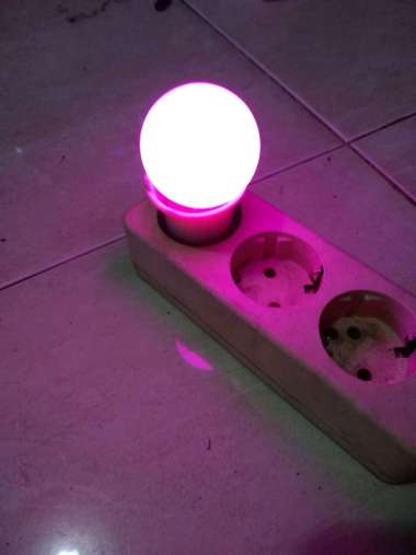 Lampu Tidur Led + Fiting Colok Switch/Lampu Tidur Led Warna Warni ungu