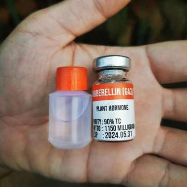 Hormon Giberelin GA3 Murni Serbuk Botol Vial Steril Dan Pelarut