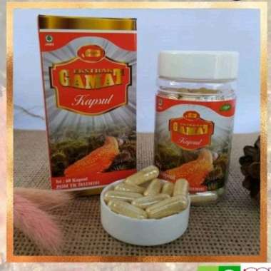 Ekstrak Gamat Emas Isi 60 Kapsul