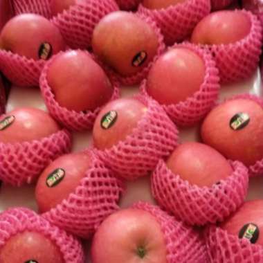 apel fuji segar 1kg diskon promo murah