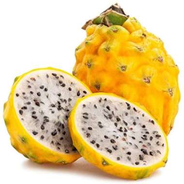 DRAGON FRUIT YELLOW**