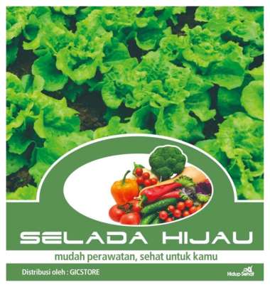 Bibit Benih Tanaman Selada Hijau Keriting Mudah Ditanam Tanah Atau Air (Hidroponik) dan Sehat Alami