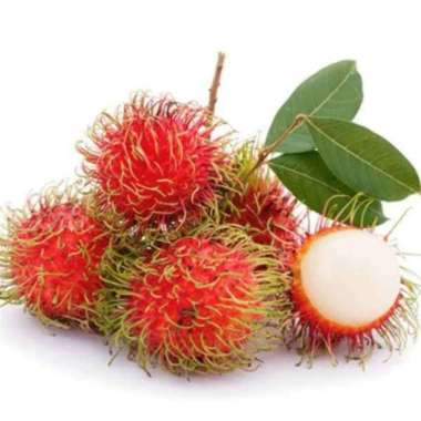 RAMBUTAN BINJAI