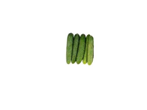 TIMUN MINI 230 - 250 G