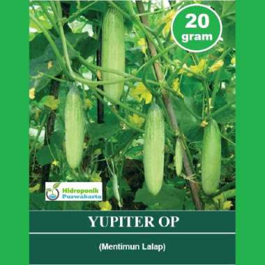 Benih Timun Mentimun Lalap Yupiter 20 Gram Cap Mutiara Bumi
