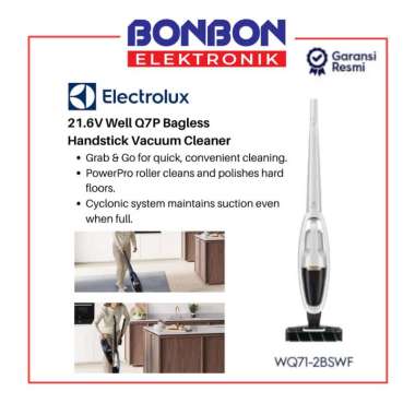 Allergy Ergorapido Vacuum Cleaner 