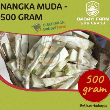 Nangka muda sayur / gori / tewel - 500 Gr