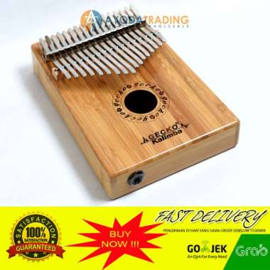 Authentic Gecko Kalimba K17BAEQ Hard Case