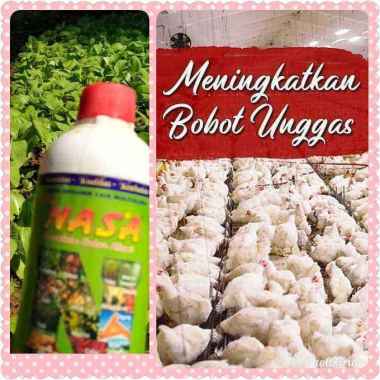 POC NASA 250cc AMPUH TERLARIS - Pupuk Organik Cair - Pupuk Ternak Hewan - Pupuk Organik Ikan - Pupuk