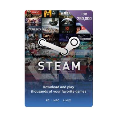 Steam Wallet Code Voucher Game [IDR 250.000]