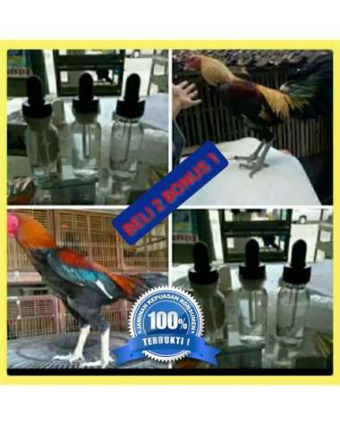 DOPING AYAM ADUAN IMPORT