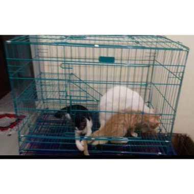 Kandang Kucing Hamster Kelinci ( Kandang Tingkat ) 100 % ORIGINAL