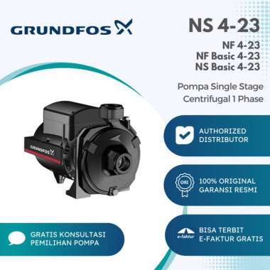 Single Stage Centrifugal Grundfos NS 4-23