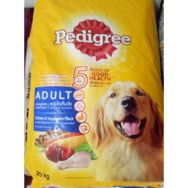 german shepherd leads