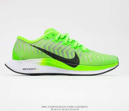 zoom pegasus 2 turbo