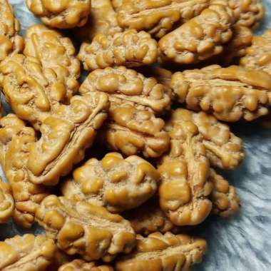Jenitri Rudraksha Mukhi 1