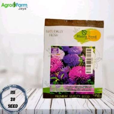 Haira Seed Benih Bibit Bunga Aster Crego Mix Tanaman