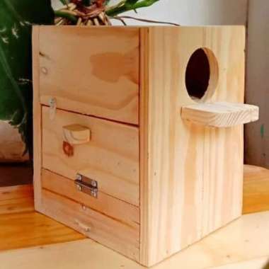 GLODOK BURUNG LOVEBIRD BL911