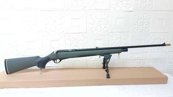 Jual Pcp Ruger Terlengkap & Original - Harga Murah Agustus ...