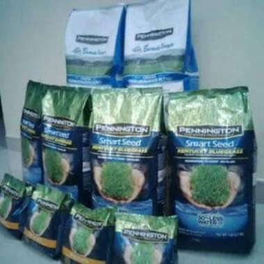 Biji rumput jepang - Benih Rumput jepang -Bibit rumput jepang