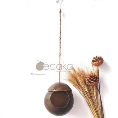 GLODOK BATOK BURUNG MURAI - GLODOK LOVEBIRD - SANGKAR KENARI BATOK