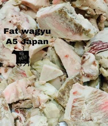 Fat wagyu a5 Japan