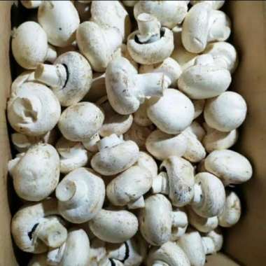Jamur kancing segar 250gram