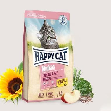 Kucing Anggora Happy Cat Jual Produk Terbaru Februari 2020