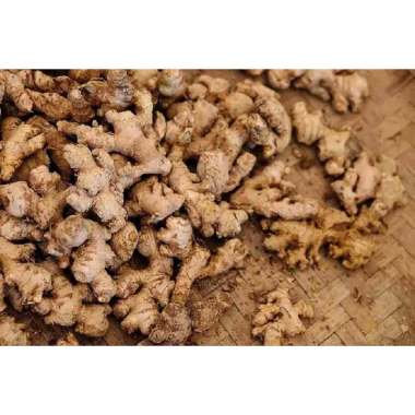 Jahe Emprit Segar 1 KG