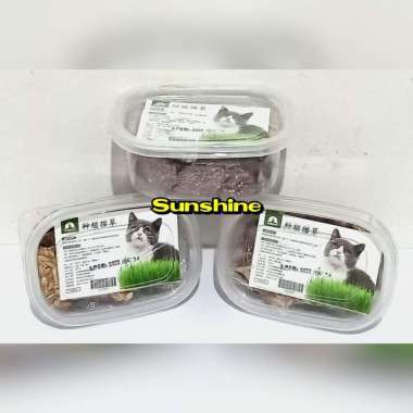 Rumput Kucing Paket Lengkap - Cat Seed Wheat Grass