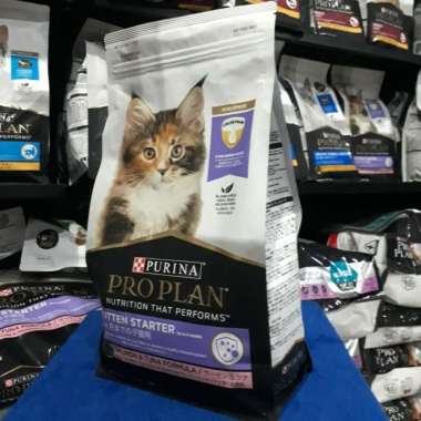 OEM Proplan Kitten Starter Salmon & Tuna Formula Repack 500gr Cat Food