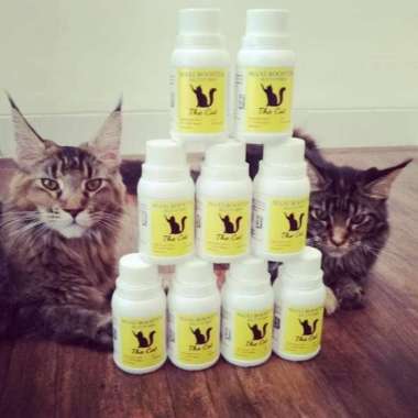 Vitamin Kucing The Cat Maxi Booster