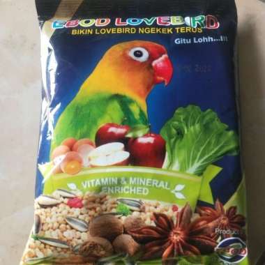 Ebod lovebird
