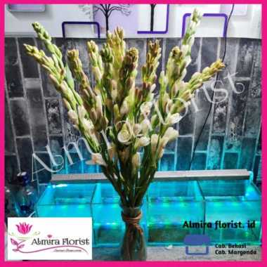 Bunga sedap malam segar (1tangkai)