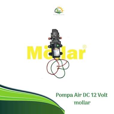 Pompa Air DC 12 Volt Push Pump 12V 25 Watt P003