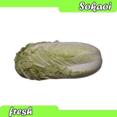 SAWU PUTIH SAYUR SAWI SAYUR SEGAR SAYURAN SEGAR