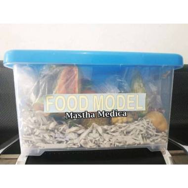 King Food Model Gizi Replika Makanan