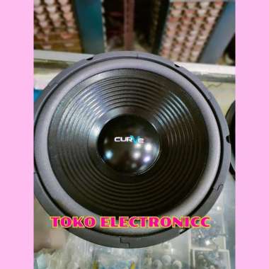 Speaker Curve 12 inch Woofer