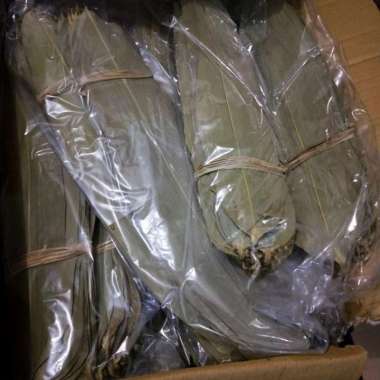 daun bambu bakcang kering tipis