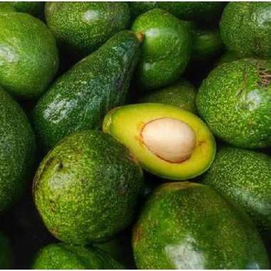 Buah Alpukat Segar 1 kg