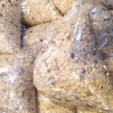 TOGE PENDEK SEGAR 250gr