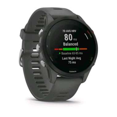 Garmin Forerunner 255 - FR255 Slate Grey