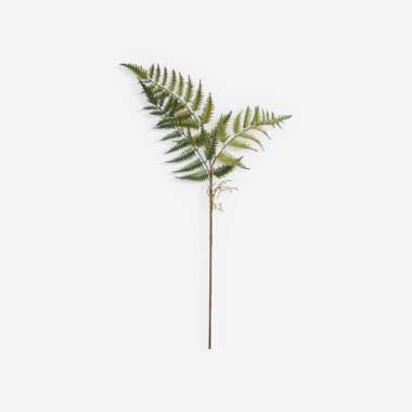 KANA Fern 3 Tangkai - Artificial Leaf