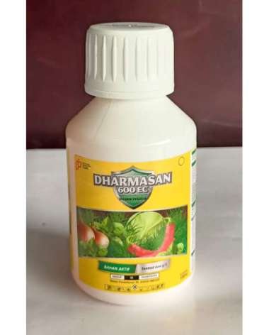 INSEKTISIDA DHARMASAN 600EC 100ML