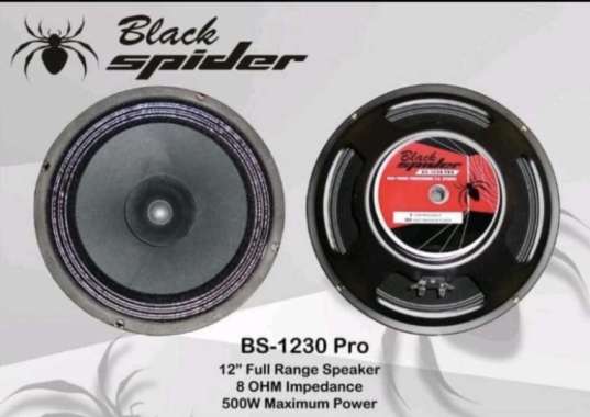 Speaker Blackspider 12" 1230 PRO
