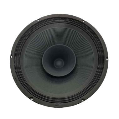speaker pluto 12 inch