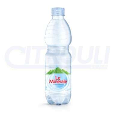 LE MINERALE 600ml