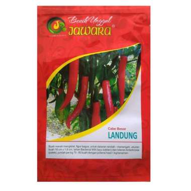 CABAI BESAR LANDUNG PACK 10 GRAM Benih Bibit Pertanian Cabe Cabai Merah Besar LANDUNG Jawara